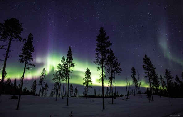 Aurora, March 2017, Kiruna, Sweden